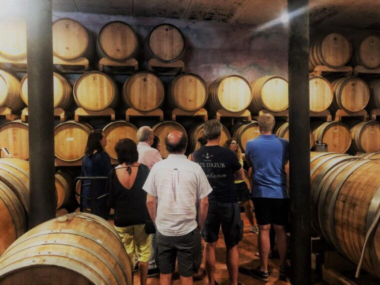 Guided Olive Oil & Wine Tour From Padua - Who Will Love This Tour?