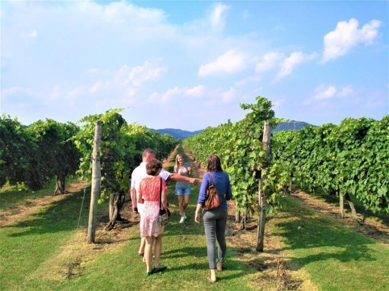 Guided Olive Oil & Wine Tour From Padua - FAQ