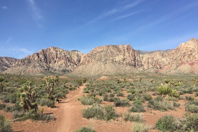 Guided or Self-Guided Road Bike Tour of Red Rock Canyon - Difficulty and Preparation