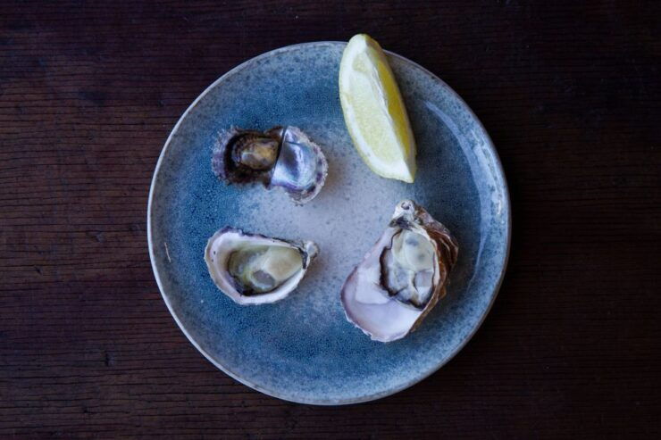 Guided Oyster Tasting - Activity Overview