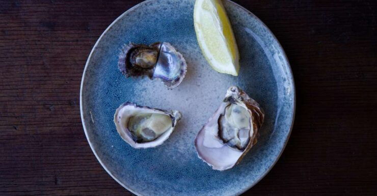 Guided Oyster Tasting - Booking Information