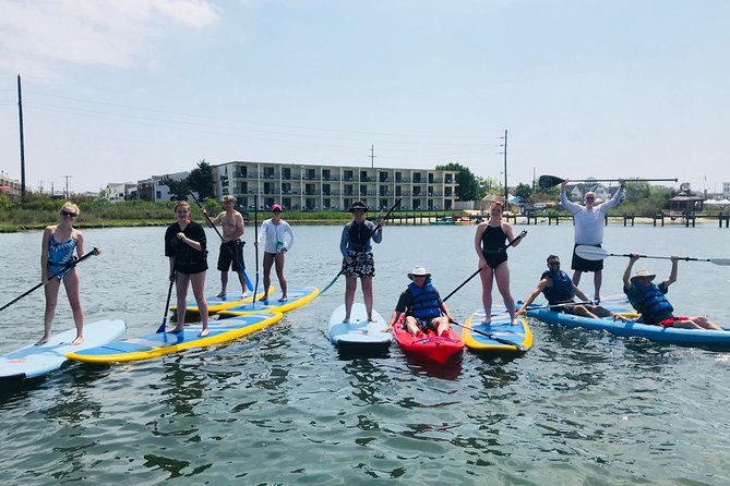 Guided Paddleboard Excursion on Rehoboth Bay - Overview and Experience