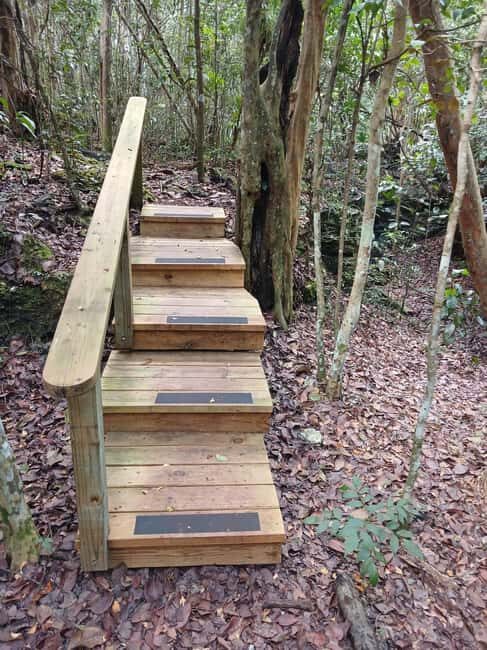 Guided Primeval Nature Walk Tour - Authentic Natural Beauty and Cave Exploration