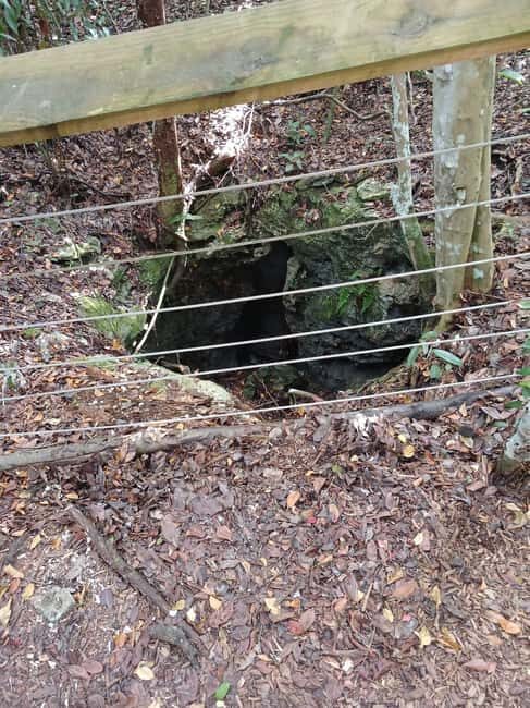 Guided Primeval Nature Walk Tour - Relaxation at Jaws Beach