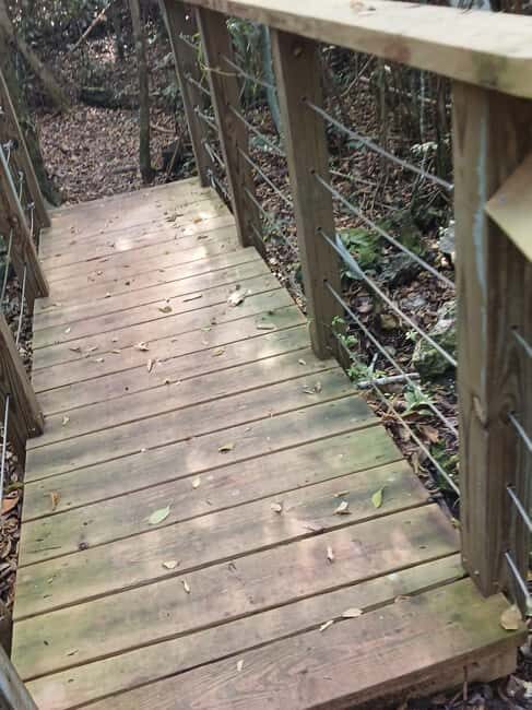 Guided Primeval Nature Walk Tour - Final Thoughts