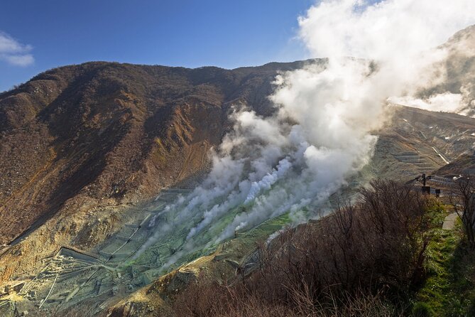 Guided Private Day Tour: Lake Ashi Cruise & Hakone Highlights - Terms and Conditions