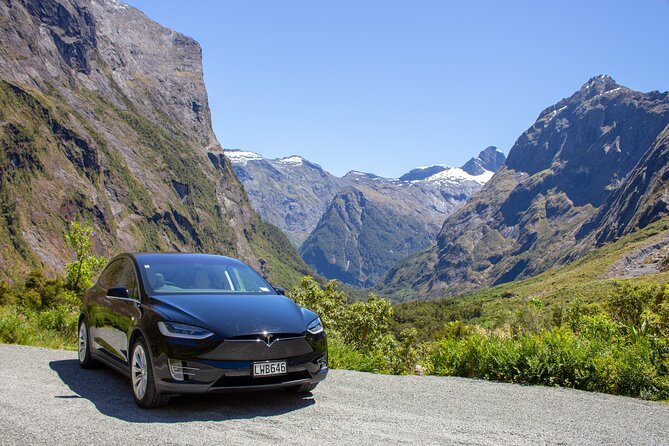 Guided Private Milford Sound Day Tour From Te Anau(Cruise Included) - Scenic Cruise in Milford Sound