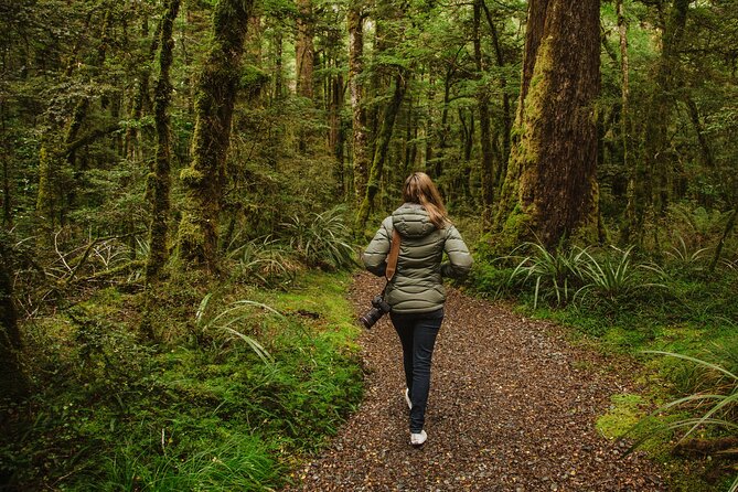 Guided Private Milford Sound Day Tour From Te Anau(Cruise Included) - Pickup Points and Start Time