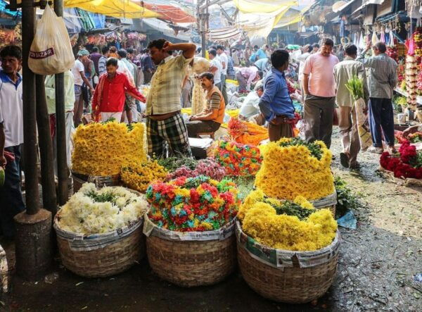 Guided Private Tour of City of Joy -Kolkata - Popular Attractions in Kolkata