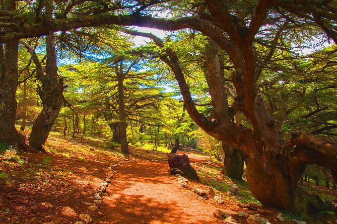 Guided Private Tour to Beiteddine Palace , Deir El Qamar and Cedars Forest - Frequently Asked Questions