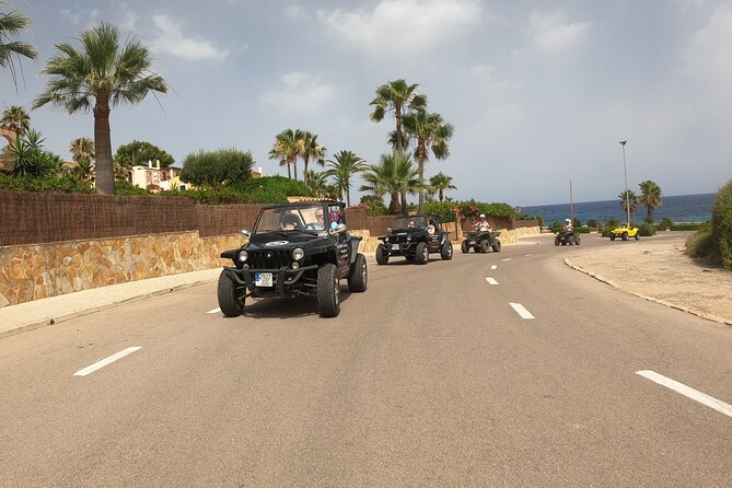 Guided Quad 2-3 Bays Tour (Incl. Swimming Stop) No-Off-Road - Tour Overview