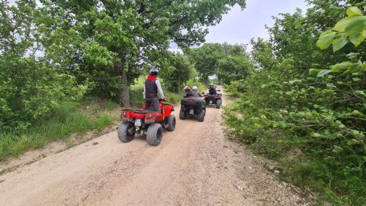 Guided Quad Tour With Aperitif in the Wood - Experience Highlights
