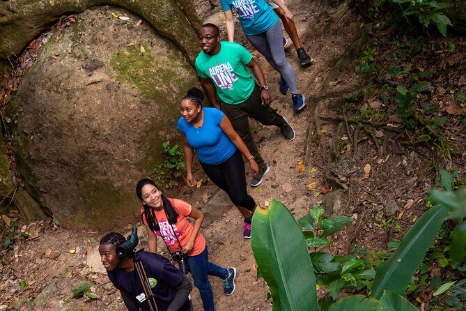Guided Rainforest Hike on the Jacquot Trail  Castries, St Lucia - Good To Know