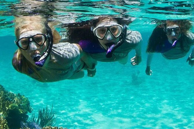 Guided Reef Snorkeling Tour in Pompano Beach - Good To Know