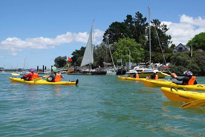 Guided Riverhead Tavern Kayak Tour in Auckland - Tour Overview