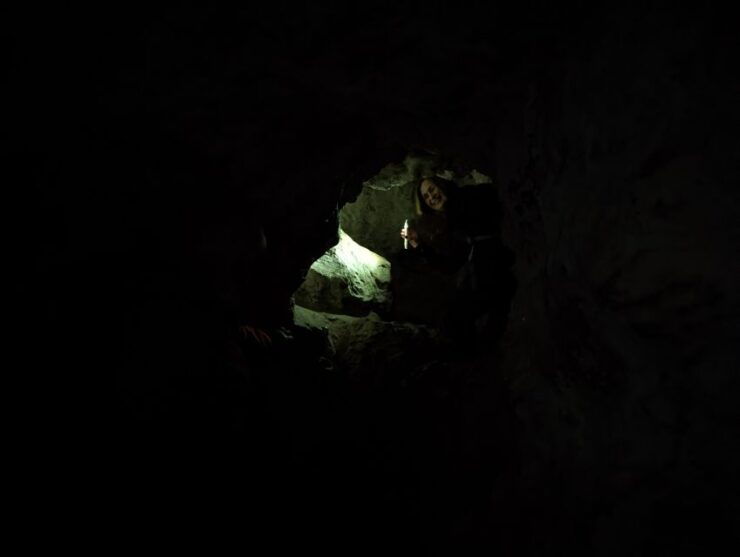 Guided Riverside And Forest Walk King Arthur's Wye Valley - Activity Details and Options