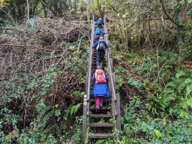Guided Riverside Walk King Arthur's Wye Valley From Cardiff - Select Participants and Date