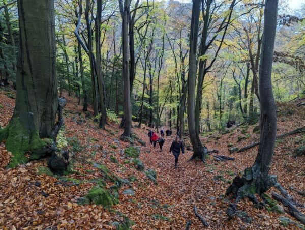 Guided Riverside Walk King Arthur's Wye Valley From Cardiff - The Sum Up