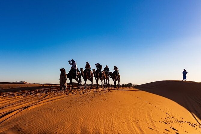 Guided Safari Adventure With Dinner in Dubai - Overview and Inclusions