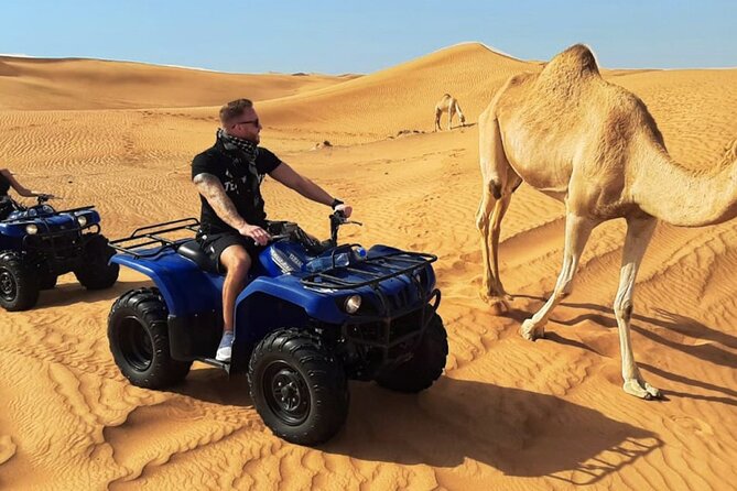 Guided Safari Adventure With Dinner in Dubai - What To Expect