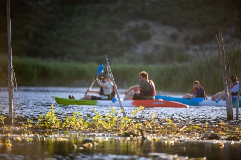 Guided Safari Kayaking Tour in Neretva Valley - The Experience: Details That Matter