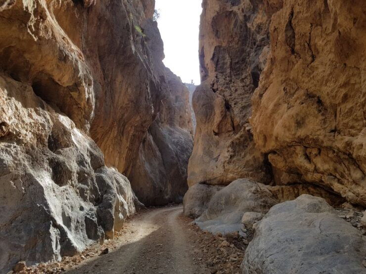Guided Safari South Crete & Tripitis Gorge - Safari Adventure in South Crete