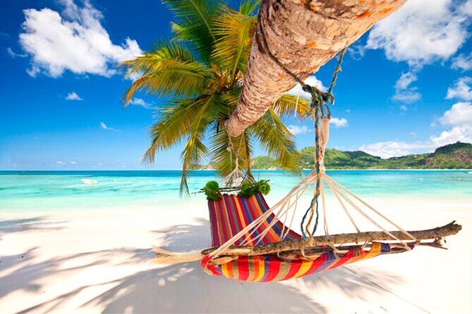 Guided Saona Island Tour in Punta Cana - Good To Know