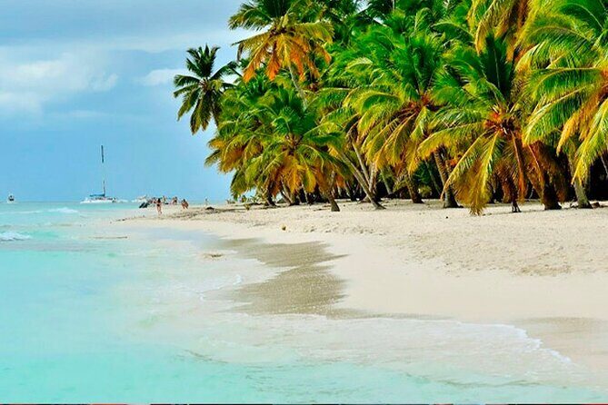 Guided Saona Island Tour in Punta Cana - Practical Details and Tips