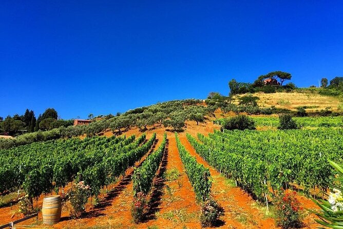 Guided Scooter Tour for Small Groups With Wine Tastings - Good To Know