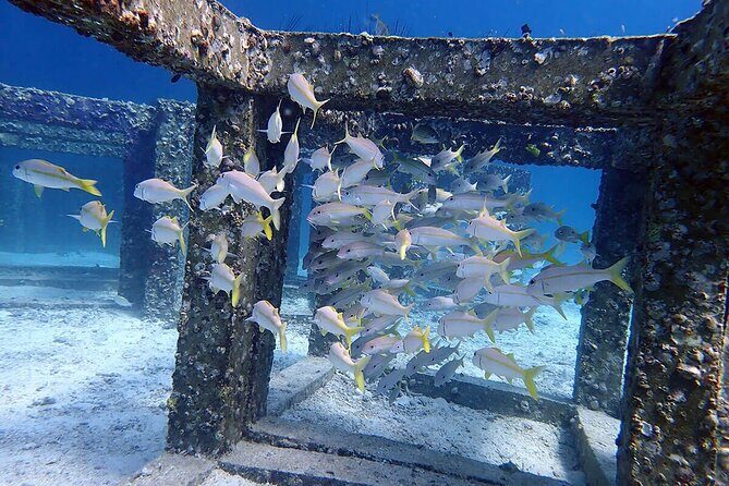 Guided Scuba Diving Day Activity at Racha Yai and Racha Noi - An In-Depth Look at the Dive Day Tour
