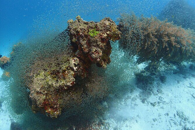 Guided Scuba Diving Day Activity at Racha Yai and Racha Noi - FAQ