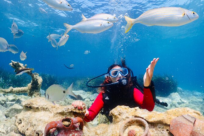 Guided Scuba Diving Experience in Kusadasi - Company Background and Experience