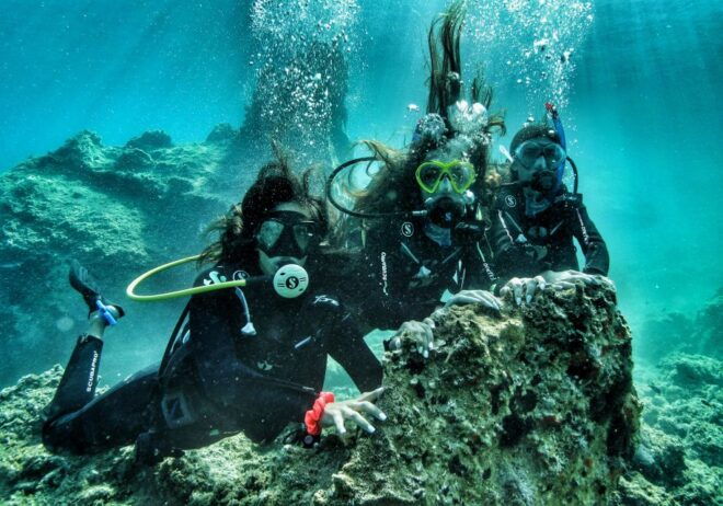 Guided Scuba Diving Experience in Paros - Participant Information