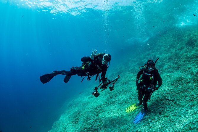 Guided Scuba Diving for Beginners Without License From Sorrento (5 Hours) - Directions and Experience Availability