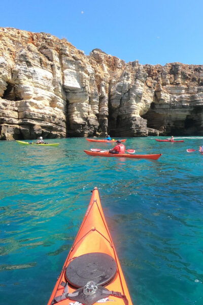 Guided Sea Kayaking Adventures in the South Western Algarve - Local Wildlife and Natural Wonders