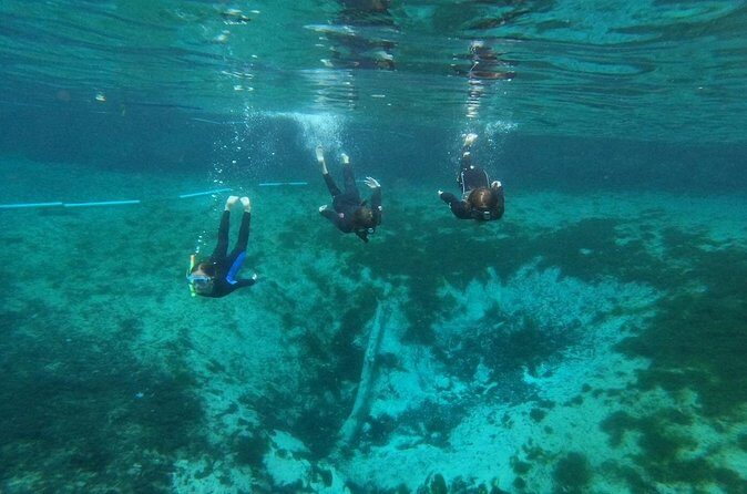 Guided Semi-Private Snorkel Tour (w/ FREE Photos!) - Practical Tips for Booking and Enjoying Your Tour