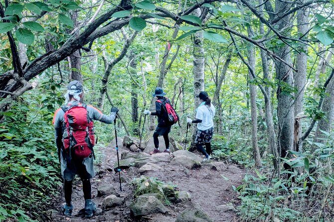 Guided Shioya Maruyama Hike with Scenic Views and Snacks - Practical Details and Value