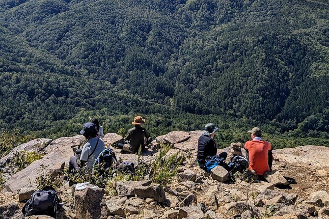 Guided Shioya Maruyama Hike with Scenic Views and Snacks - Who This Tour is Perfect For
