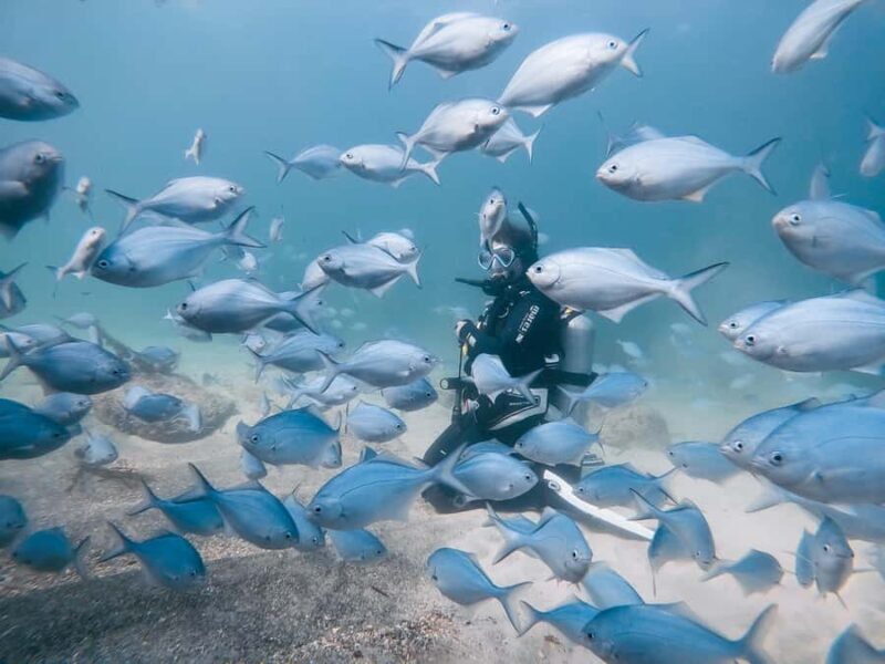 Guided Shore Dive Tour for Certified Divers - Exploring the Guided Shore Dive Tour for Certified Divers at Goat Island
