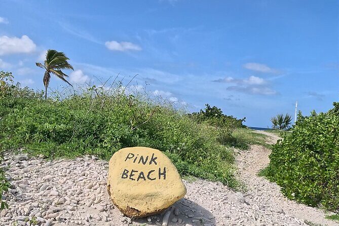 guided Shore Diving in Bonaire Marine Park with 2 Dives - FAQ