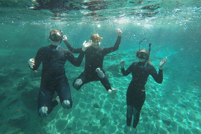 Guided Small Group Manatee Snorkeling Tour With In-Water Photographer - Tour Overview and Experience