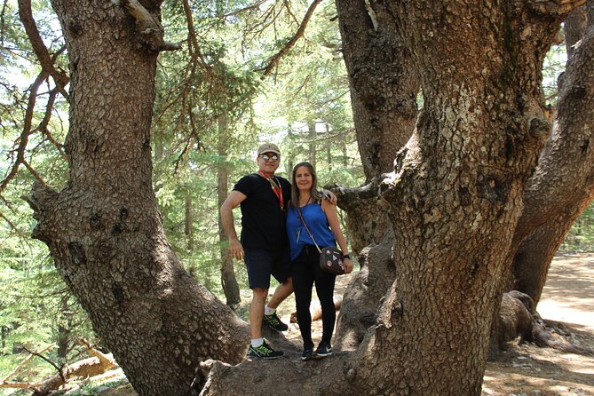 Guided Small Group to Cedars Reserve & Beiteddine W/Lunch+Entries - Booking & Cancellation