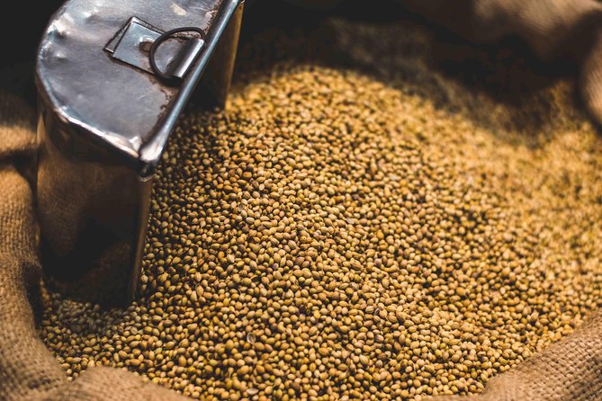 Guided Small Group Tour of Spice Market and Old Delhi - Itinerary Highlights