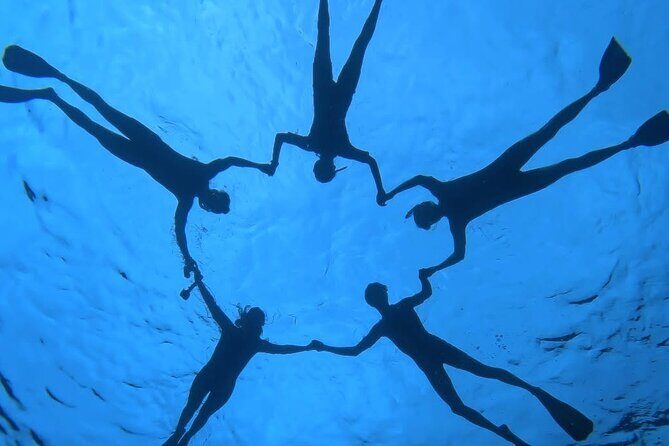 Guided Small Group Whale Watching and Swim Tour Tahiti - Price and Value