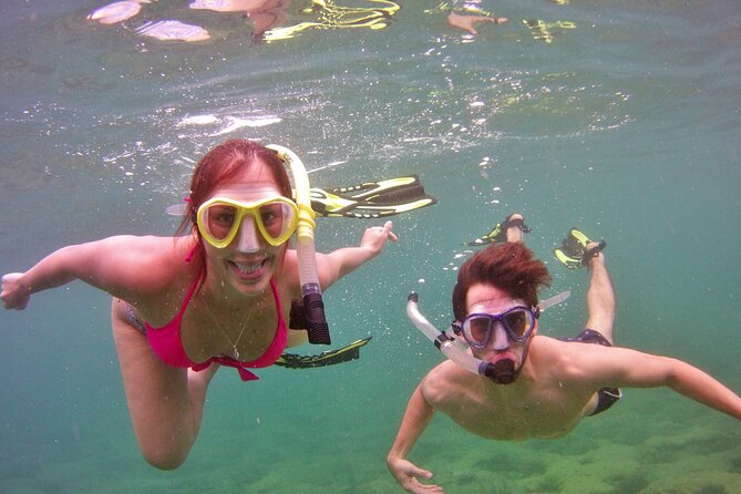 Guided Snorkel Experience in Fort Lauderdale - The Sum Up