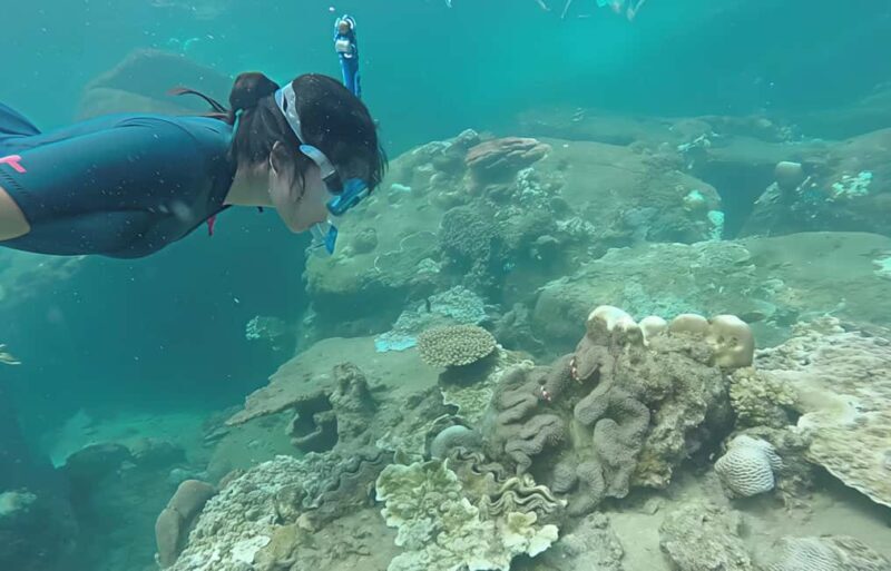Guided snorkel in Cambrils with explanation of the marine environment. - Practical Details and Tips for Visitors