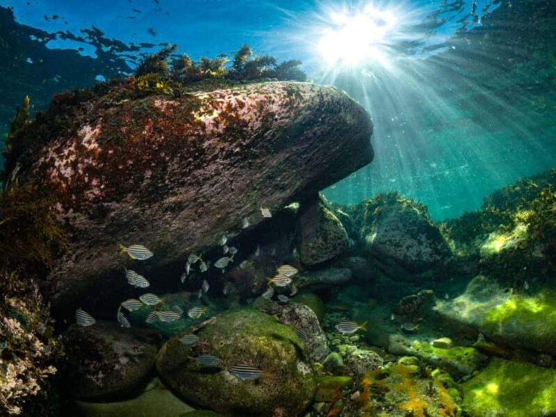 Guided Snorkel Tour at Australias most iconic beach - What Makes This Tour Special?
