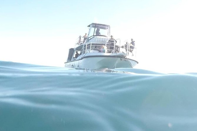 Guided Snorkel With Fish Tour at Cook Island Aquatic Reserve - Expectations and Requirements