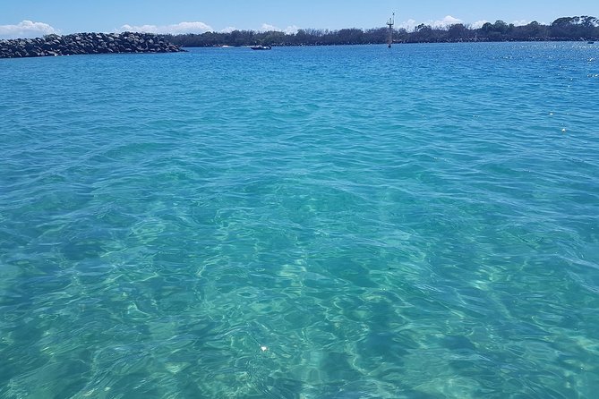 Guided Snorkel With Fish Tour at Wavebreak Island, Gold Coast - Enjoy Calm Waters and a Guide