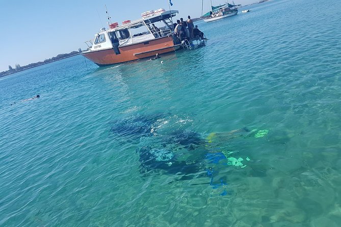 Guided Snorkel With Fish Tour at Wavebreak Island, Gold Coast - Activity Ends at the Meeting Point
